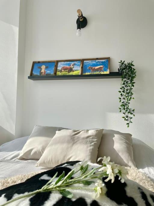 La Mascotte Apartman Saint-Louis  Kültér fotó